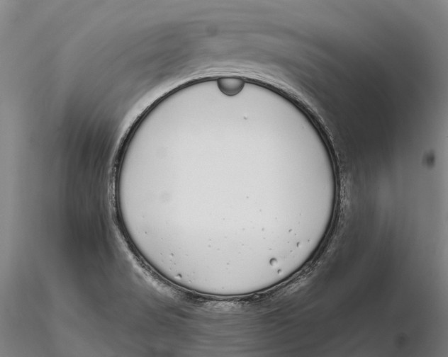 X0000115711517200912031516