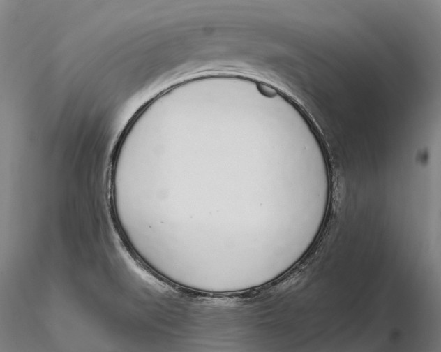 X0000115711519200912031517