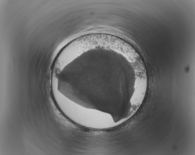 X0000115711522200912031517