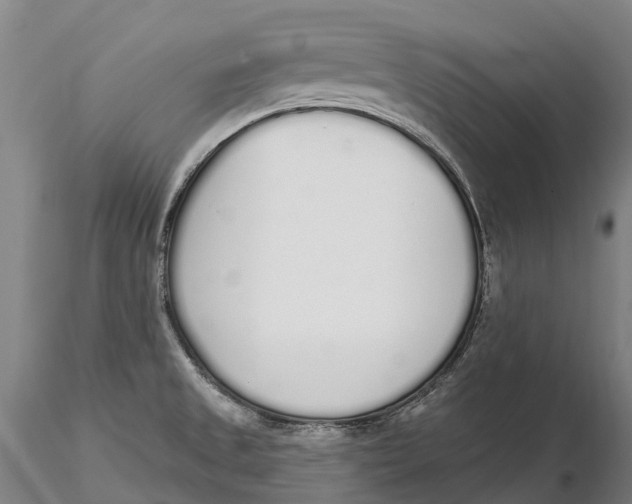 X0000115711525200912031517