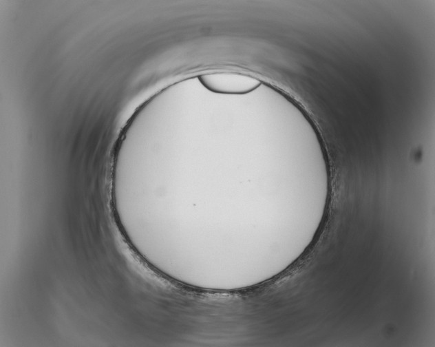 X0000115711526200912031517