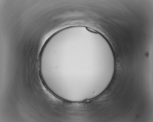 X0000115711527200912031517