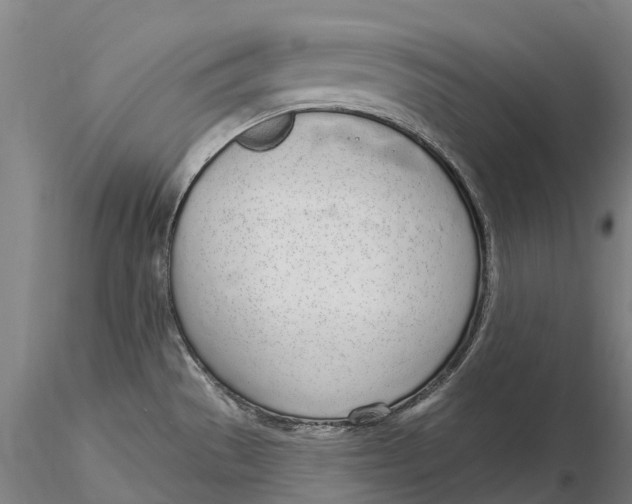 X0000115711529200912031517