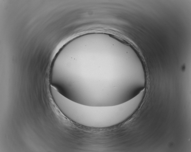 X0000115711530200912031517