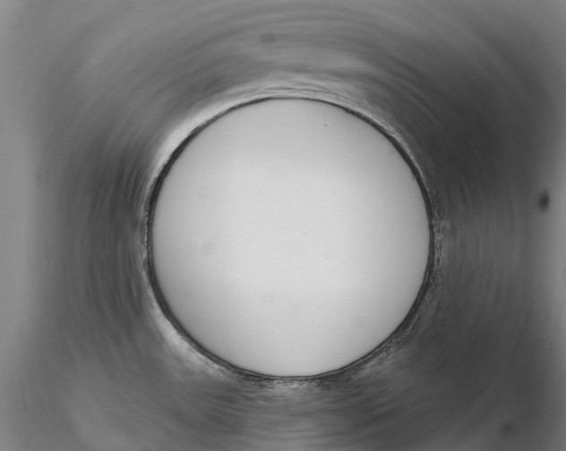 X0000115711531200912031517