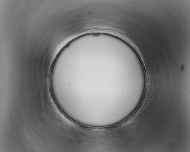 X0000115711533200912031517