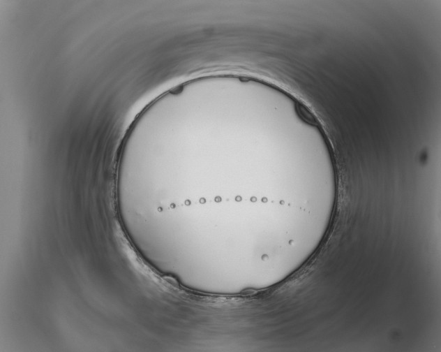 X0000115711534200912031517