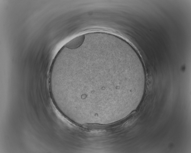 X0000115711535200912031517