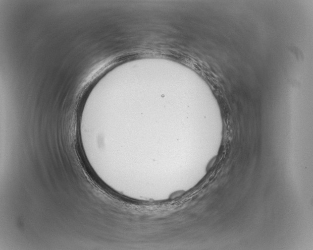 X0000115710005200912101247