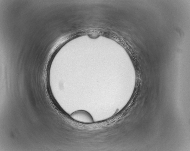 X0000115710006200912101247