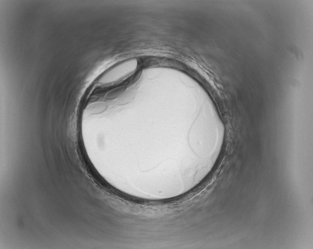 X0000115710008200912101247