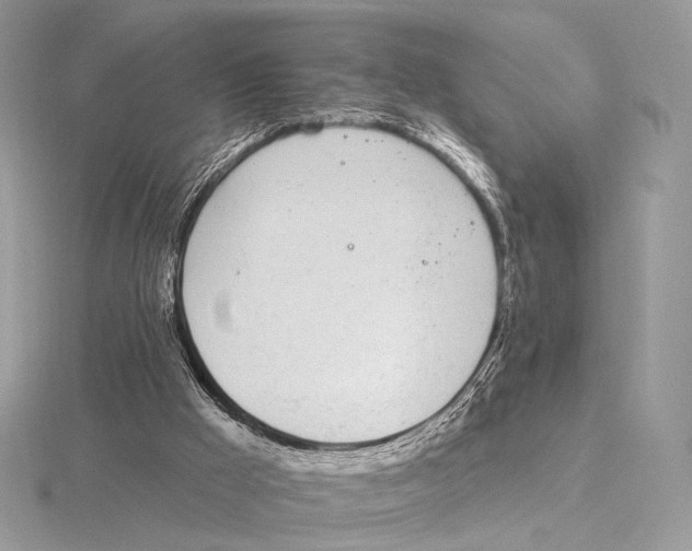 X0000115710009200912101247