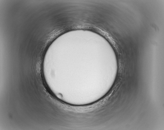 X0000115710010200912101247