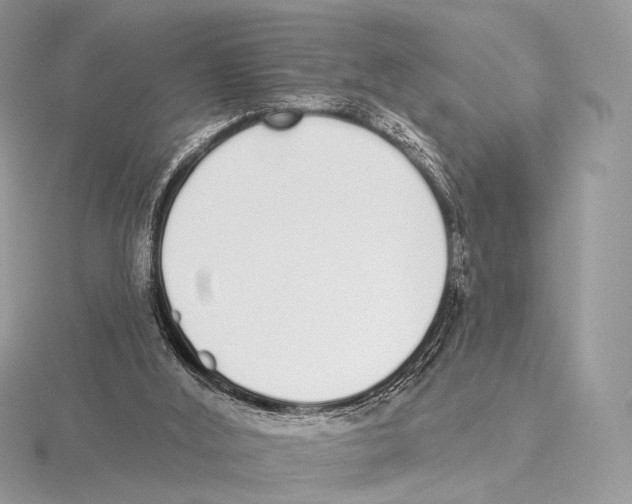 X0000115710012200912101247