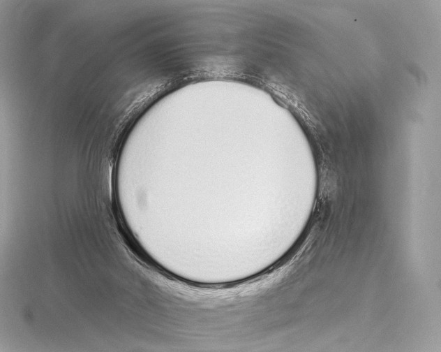 X0000115710014200912101247