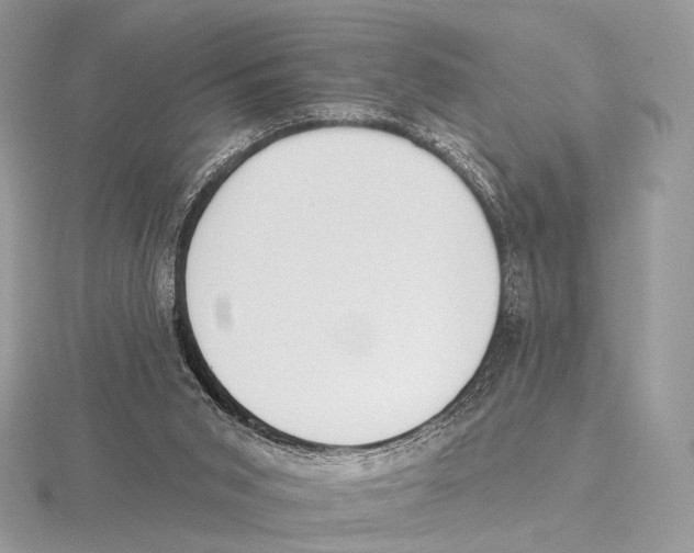 X0000115710015200912101247