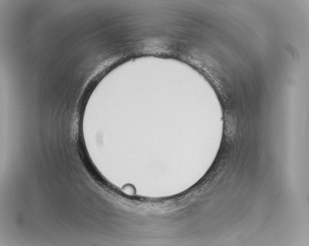 X0000115710016200912101247