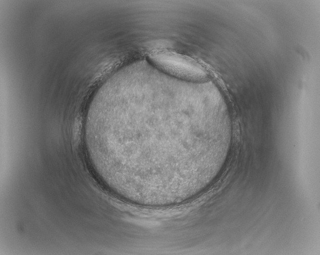 X0000115710018200912101247