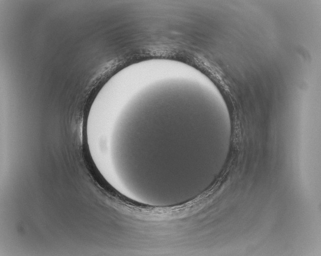 X0000115710019200912101247