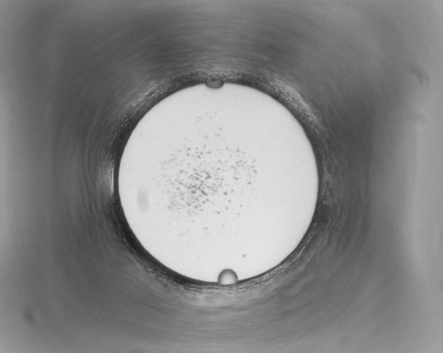 X0000115710021200912101247