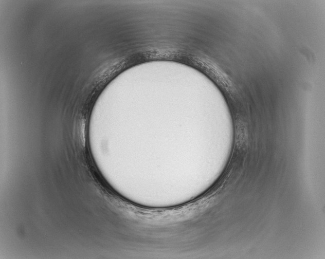 X0000115710022200912101247