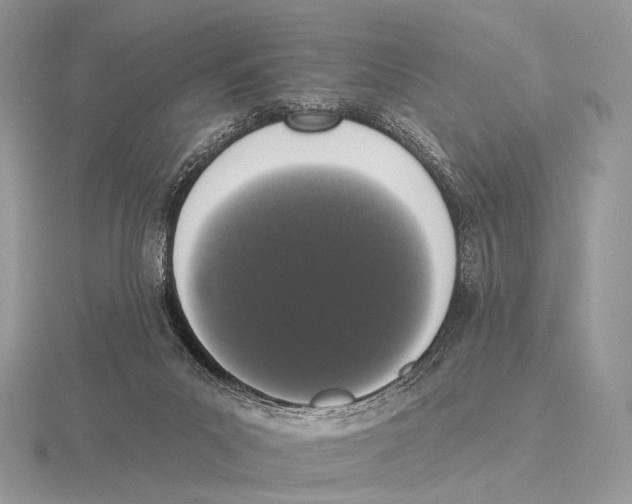 X0000115710023200912101247