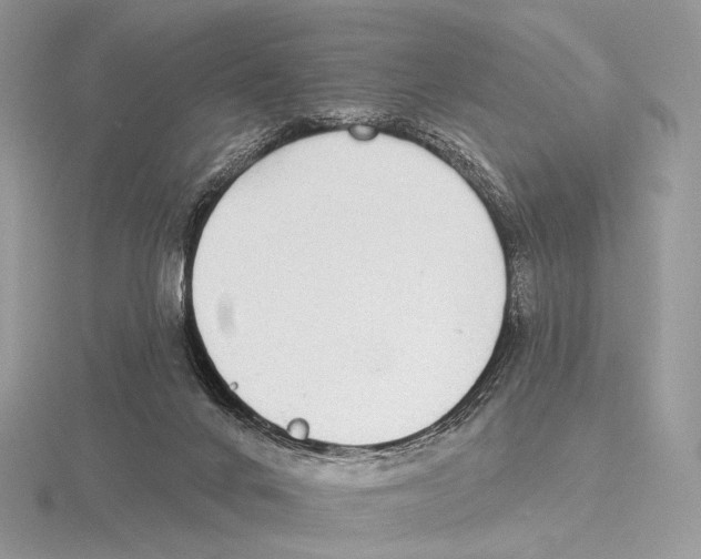 X0000115710024200912101247