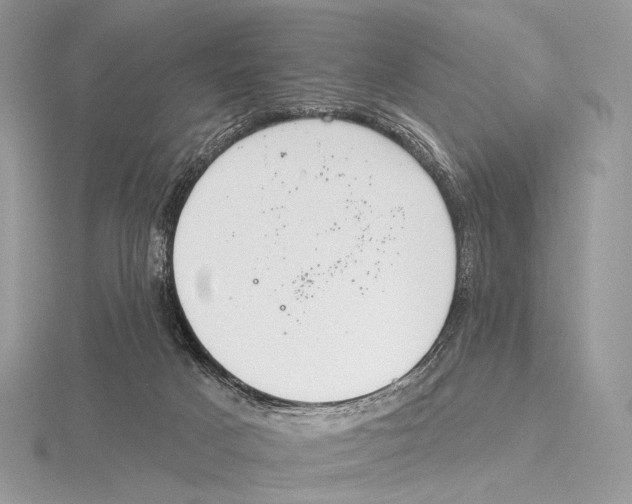 X0000115710025200912101247