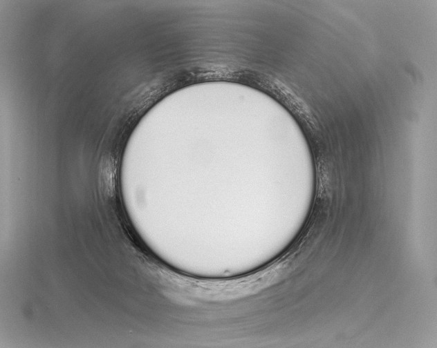 X0000115710026200912101247