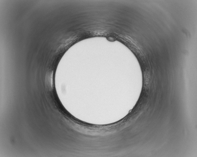 X0000115710028200912101247