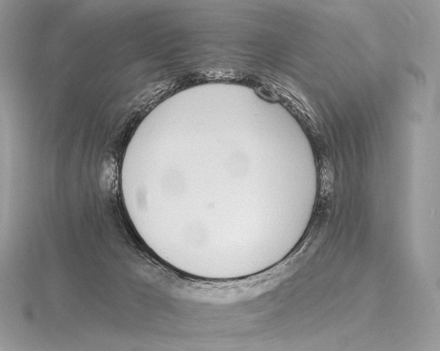 X0000115710029200912101247