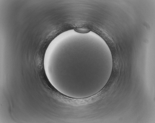 X0000115710031200912101247