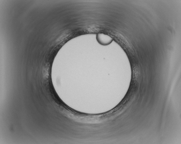 X0000115710032200912101247