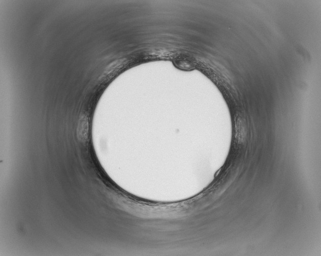 X0000115710036200912101247