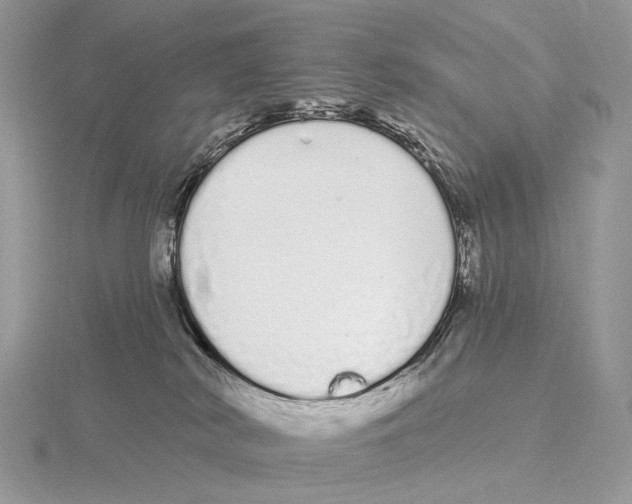 X0000115710038200912101247