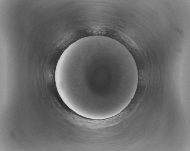 X0000115710039200912101247