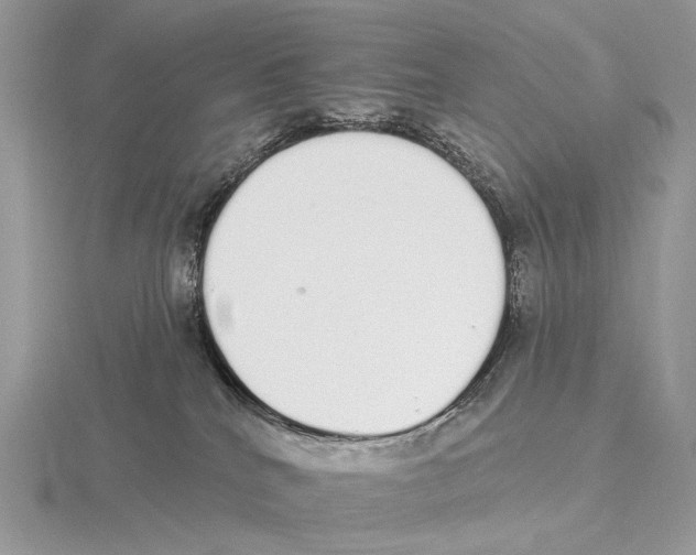 X0000115710040200912101247