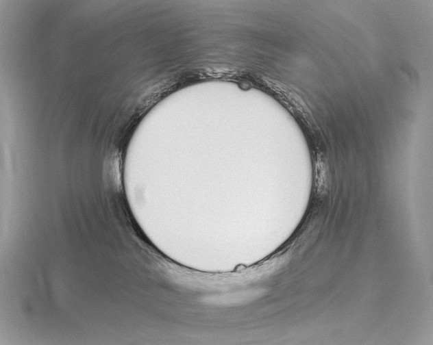 X0000115710042200912101247