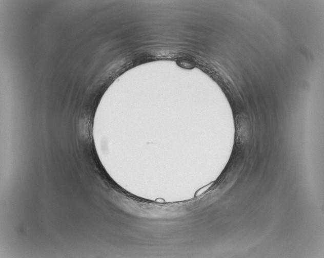 X0000115710044200912101247