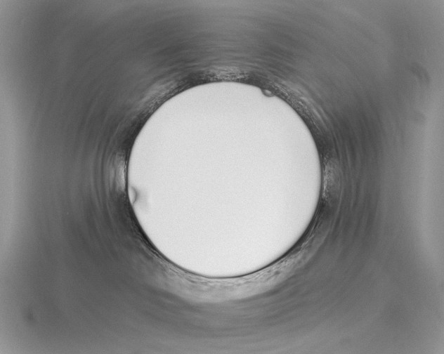 X0000115710046200912101246