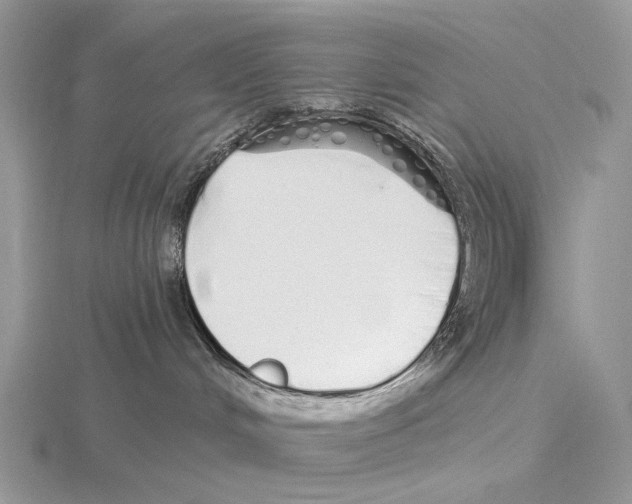 X0000115710048200912101246