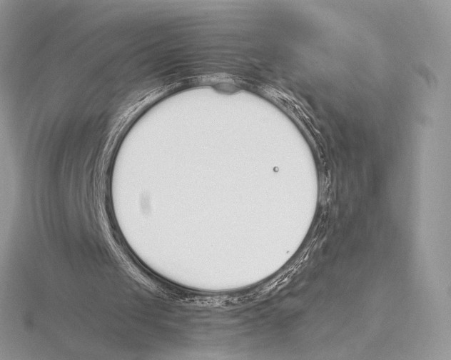 X0000115710049200912101246