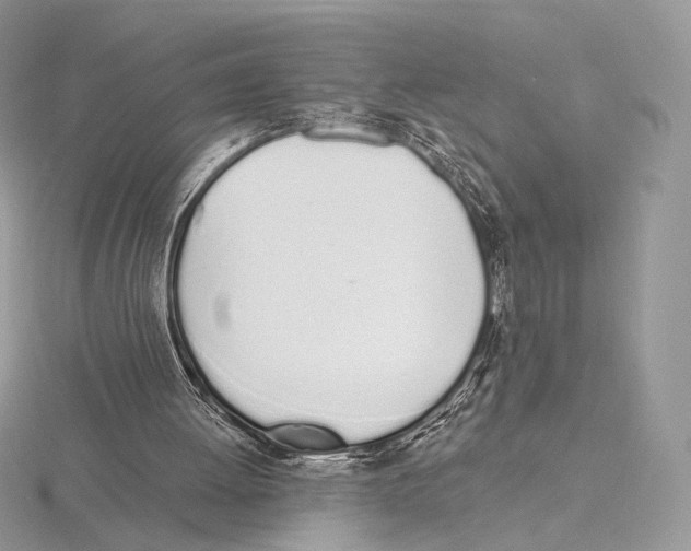 X0000115710052200912101246