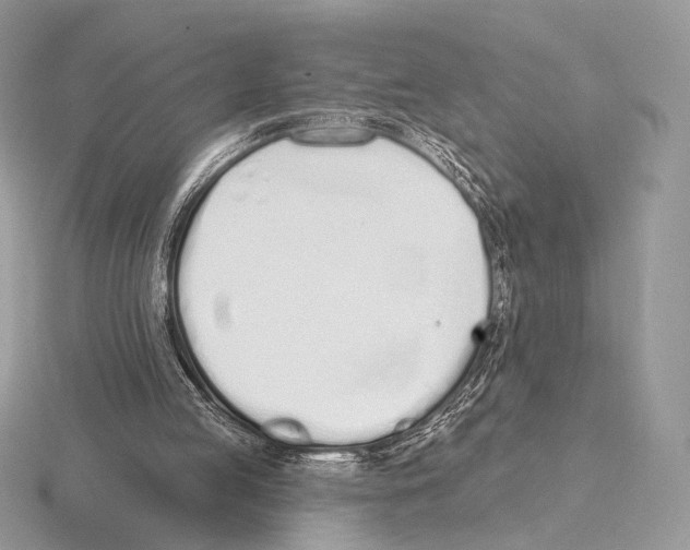 X0000115710053200912101246