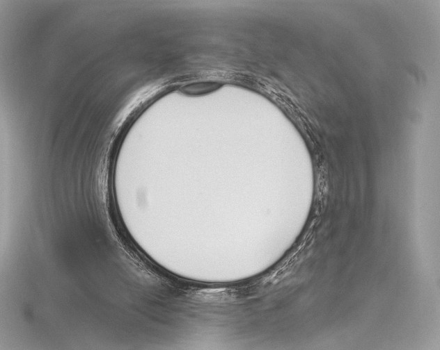 X0000115710054200912101246