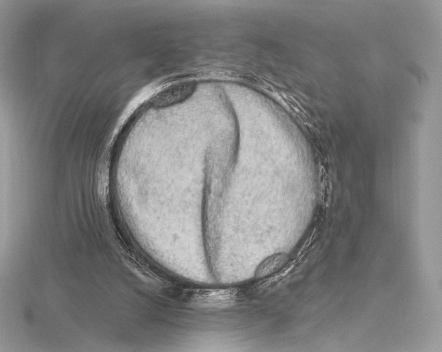 X0000115710056200912101246