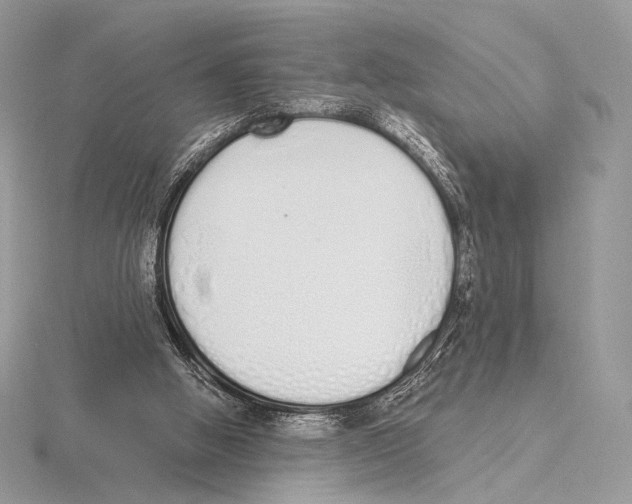 X0000115710058200912101246