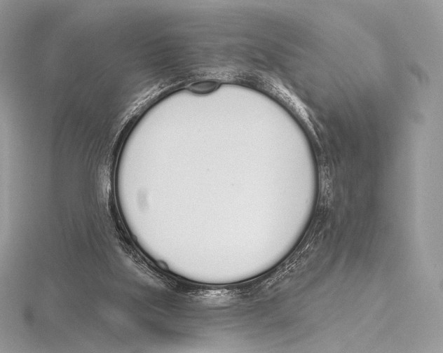 X0000115710059200912101246