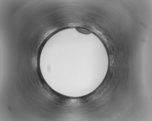 X0000115710060200912101246