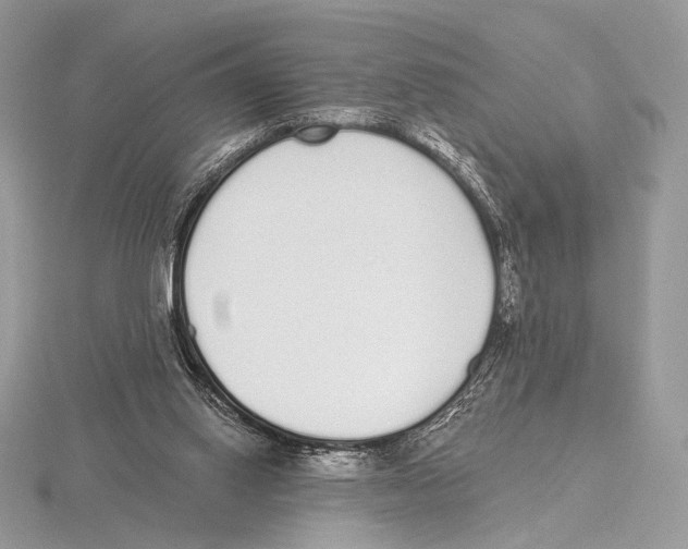 X0000115710062200912101246